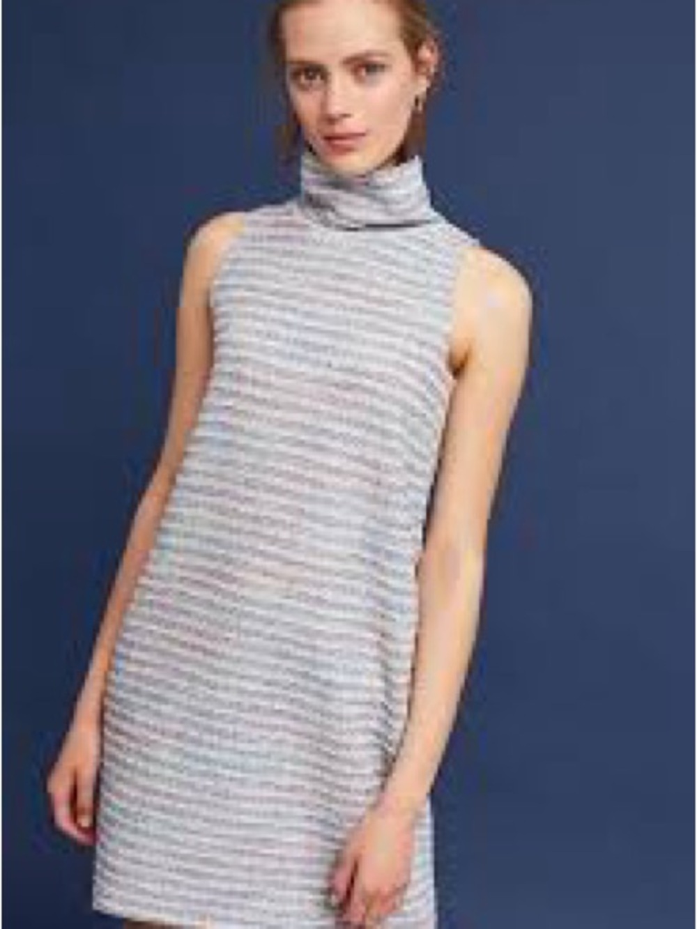 NWT Anthropologie Sleeveless Turtleneck Shift Dress